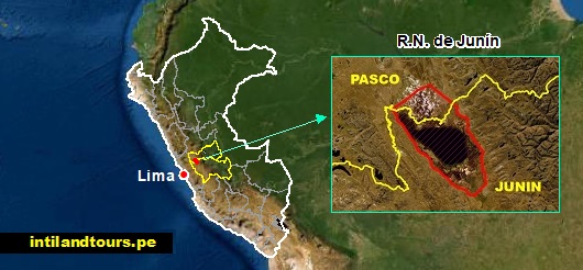 Reserva Nacional de Junín Reserva Nacional de Junín