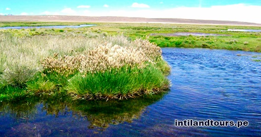 Salinas y Aguada Blanca Salinas y Aguada Blanca
